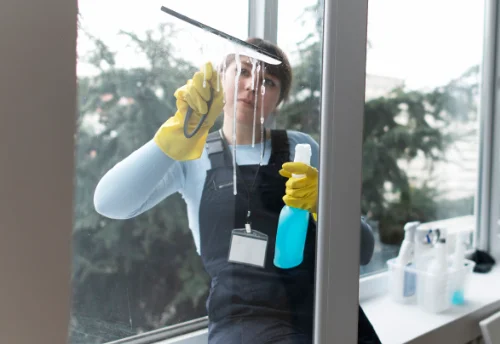 Nettoyage de vitres intérieures et extérieures à Ney